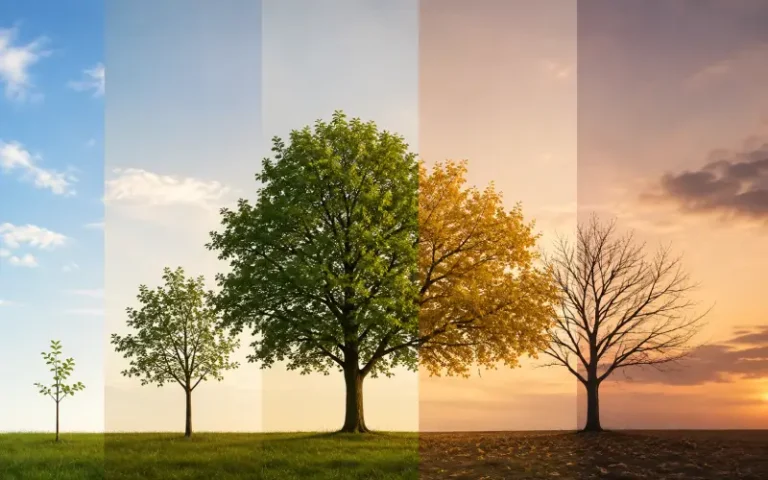 پیشگیری از پیری زودرس پوست